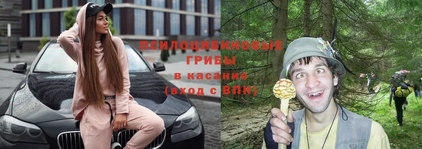 прущая мука Абаза