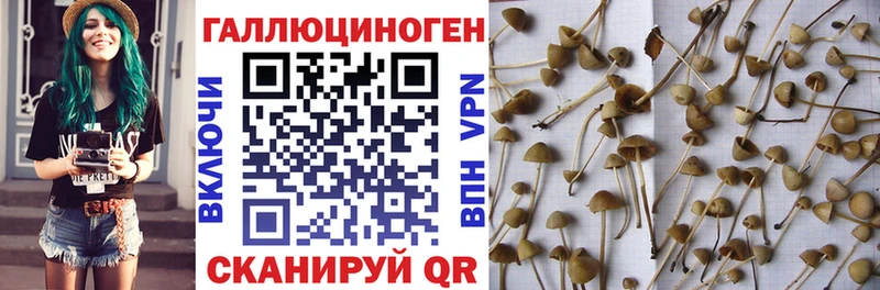 где найти наркотики MEGA зеркало Галлюциногенные грибы ЛСД Дербент